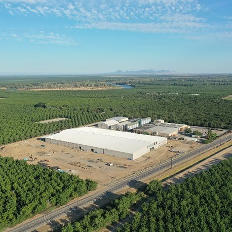 250,000 sq. ft. of walnut processing power