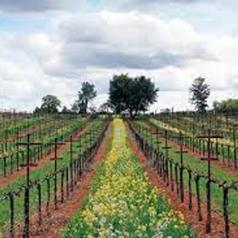 Summit Lake Vineyards & Winery