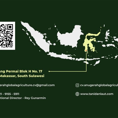 Reach Us
