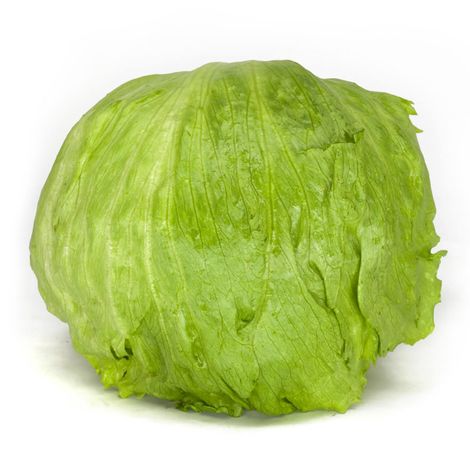 iceberg1-1.jpg