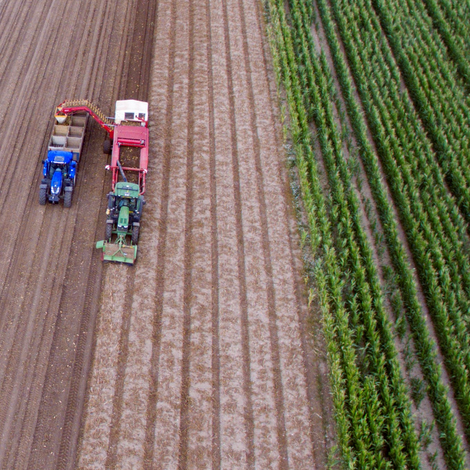 Farm