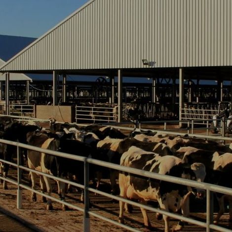 Farm