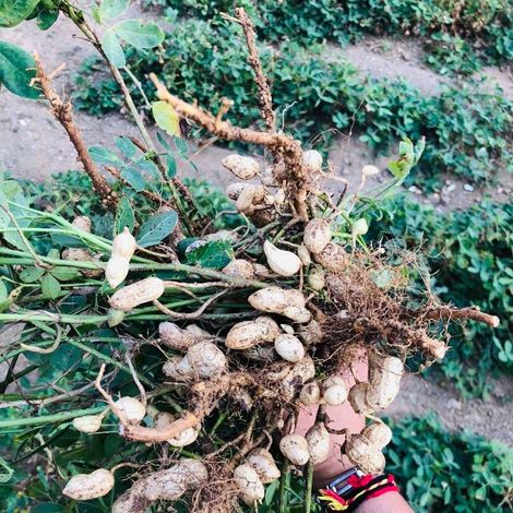 Zillion International - Products