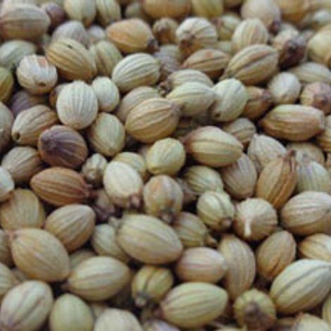 coriander.jpg