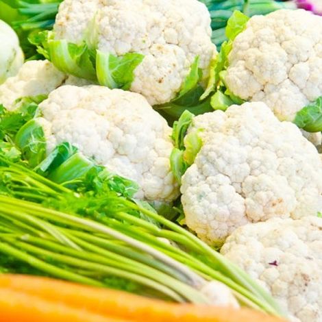 FreshStart Trading - Fresh Vegetables