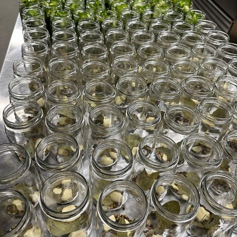 Pickled Penos, LLC - Production