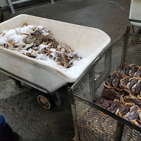 Peninsula Seafoods Inc. - Products