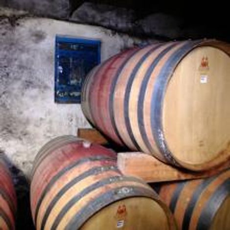 Winery