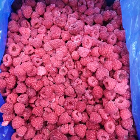 IQF RASPBERRY WHOLE