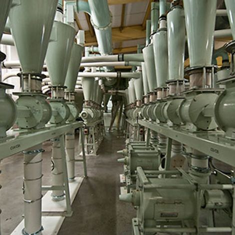 Allied Mills Limited