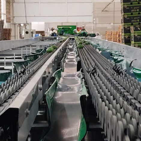 SELECCIÓN DE NUESTRA FRUTA