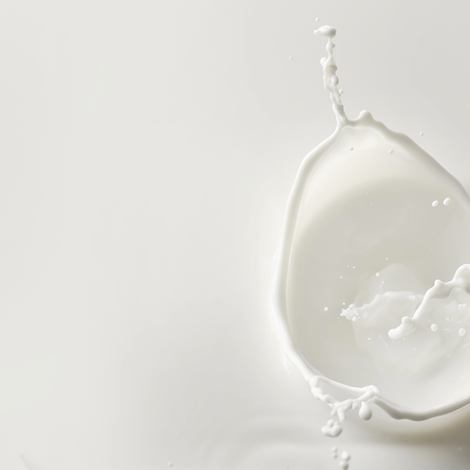 Speciality-1200by738-1024x630.png