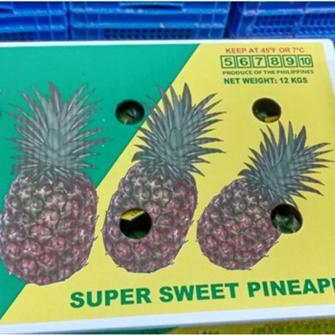 Avante Agri-Products_Pineapple_MD2/GOLD