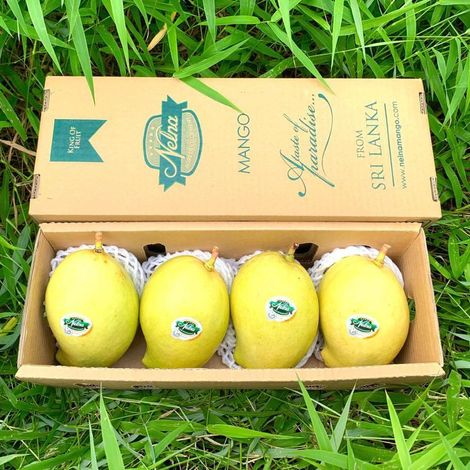 Export ready box of Nelna Mango