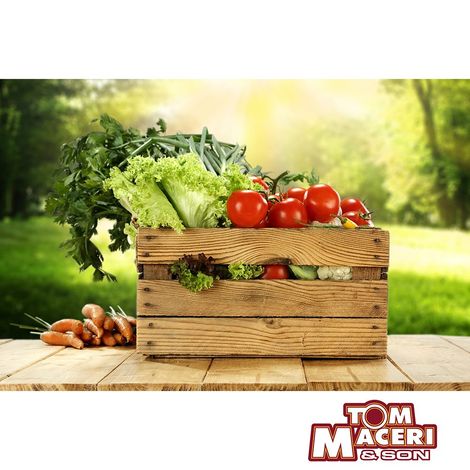 Tom Maceri & Son Inc