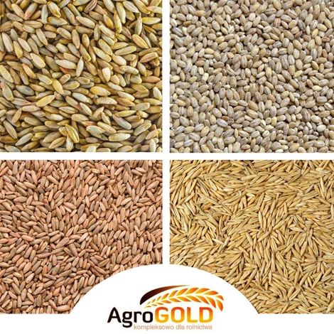 Agro Gold - Products