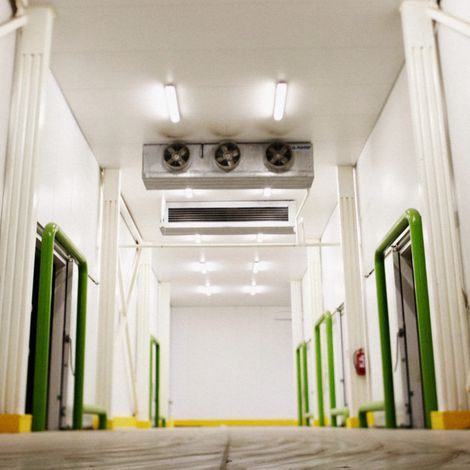 Exportadora XFRU Cinco LTDA - Facility