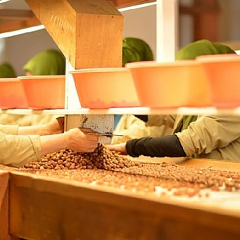 Production line