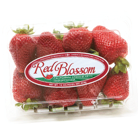 strawberrypackaging_redblossom_bodyimages.png