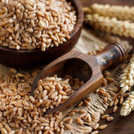 Organic Einkorn