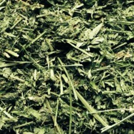 Alfalfa-300x188.jpg