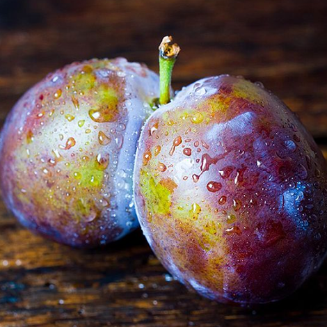 Feldbacher Fruit Partners GmbH
