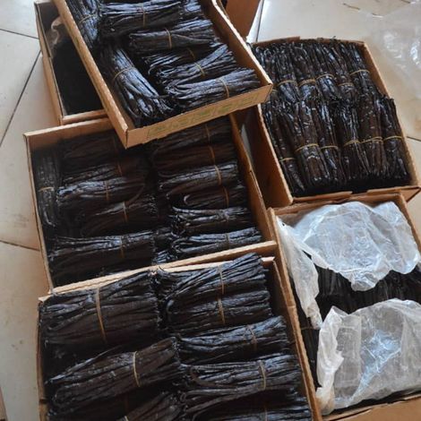 VANILLA GRADE A PODS