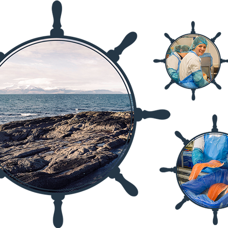 eco-CONSCIOUS_ships-wheel.png