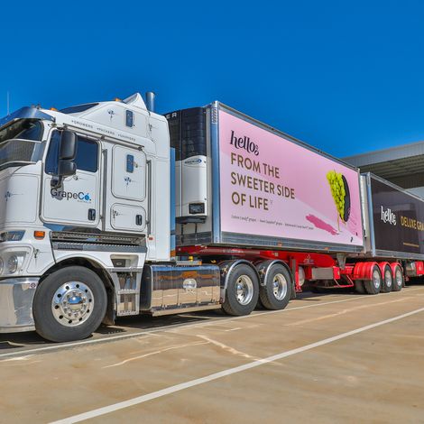 Grape Co Australia Pty Ltd - Cold Transport