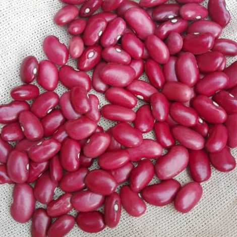 Red Kidney Beans (small)