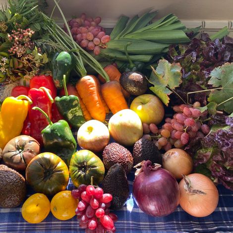 D.W. Sturt & Company