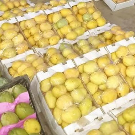 Fresh mango