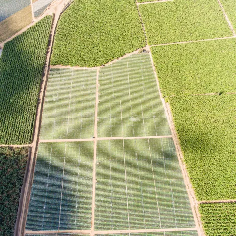 DJI_0008-1.webp