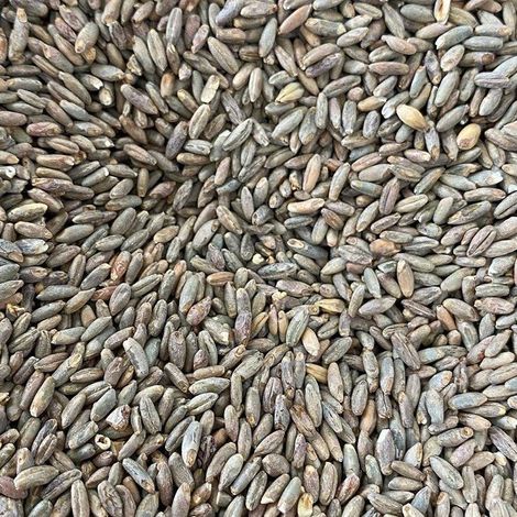 Great Western Malting