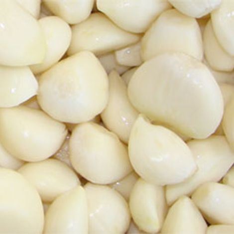 ALB-GARLIC