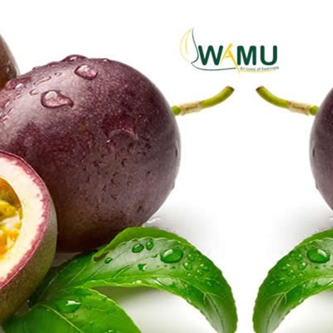 Wamu Investments Ltd