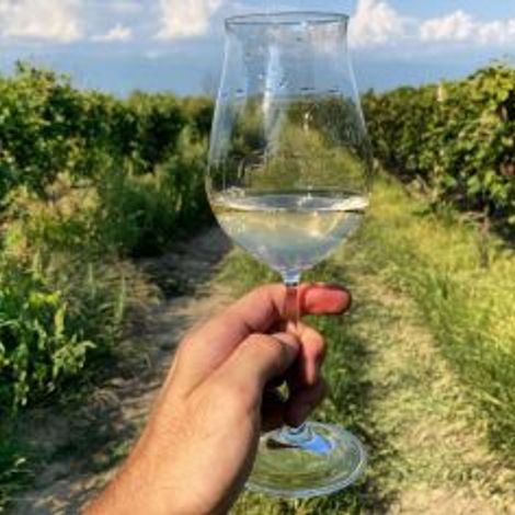 Kumbati_Wines_Vineyards