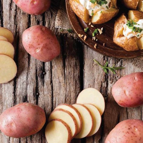 The Fresh in Time Club - Potatoes