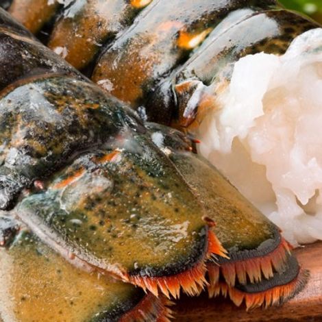 East Coast Seafood