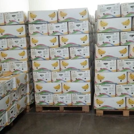 Cold Storage