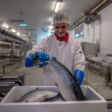 ASTAFJORD SLAKTERI AS