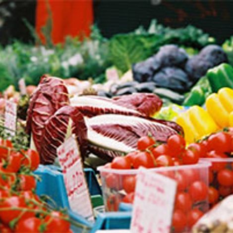 Frucht Partner GmbH