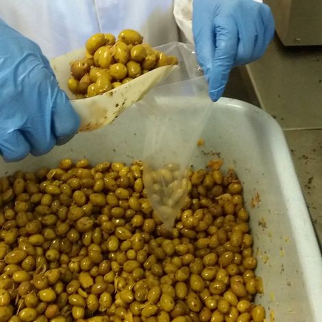 Novel Agro Ltd - Processing Product