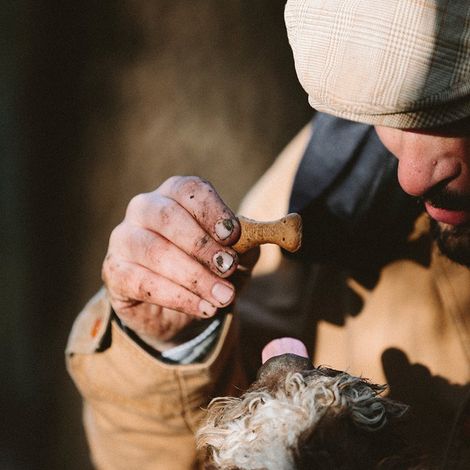 Truffle hunting