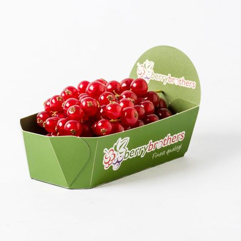punnet-bessen-2009.jpg
