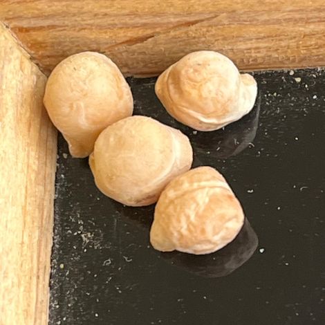 Chickpeas