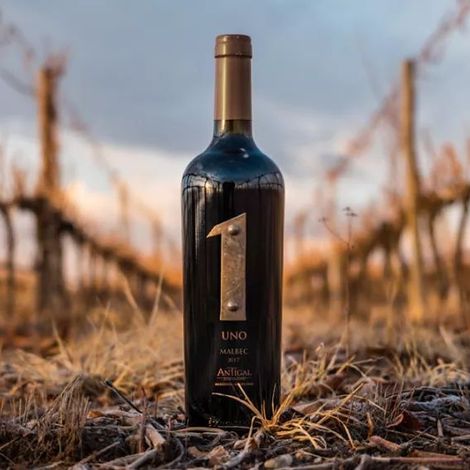 Antigal Winery & Estates