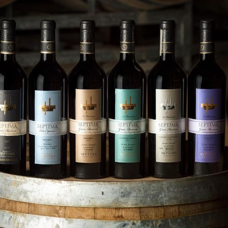 Bodega Septima - Wines