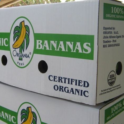 Organia S.A.C.