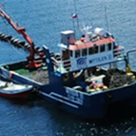 Toralla S.A.